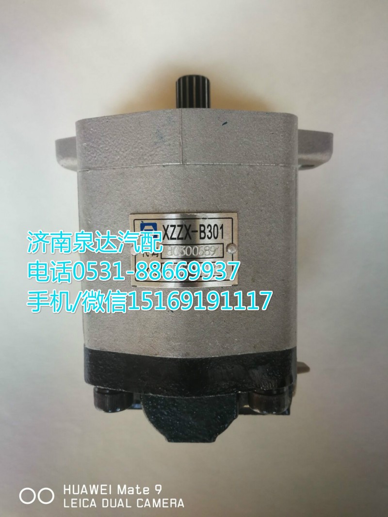 徐工起重机转向泵803006891/803006891