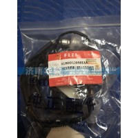 618DD1205011A NOX傳感器（國5）12L