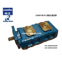 LG30F.06.01雙聯(lián)液壓泵Hydraulic pump