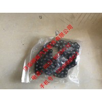 重汽豪沃轻卡配件链条，重汽HOWO轻卡配件