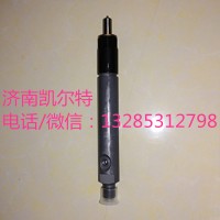 重汽潍柴配件 VG1560080276喷油器