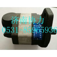 中国重汽特种车码头车配件 TZ53717300230  齿轮油泵