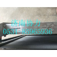 WG9925530127  小中冷器总成(T7H)