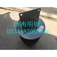 WG9742520019  气囊总成