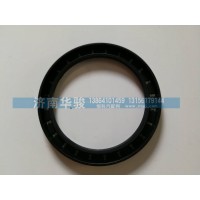 R3103012 輪轂油封10013012