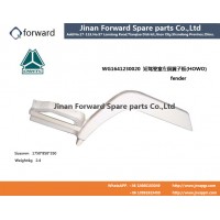 WG1641230020 Left front fender