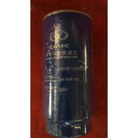 618DB1125001 A 柴油粗濾器濾芯