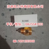 斯太尔豪沃79100710069高低档开关