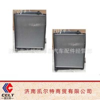 斯太尔豪沃WG9719530276 散热器