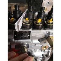 斯太尔豪沃612600081069Y高压油泵