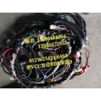 汕德卡C7帶VCU發(fā)動(dòng)機(jī)線(xiàn)束總成國(guó)三