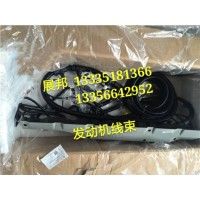 曼天然氣MT13發(fā)動機線束(D7B/LNG)