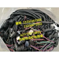 豪沃A7 右組合后燈電線束75（BW）