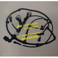 南京依维柯锡柴6DM/6DL系列柴油发动机线束