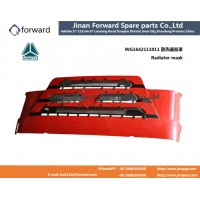 WG1642111011 散热器面罩 Radiator mask