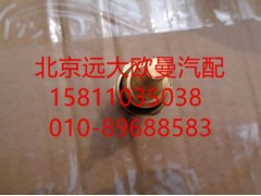 4954905,温度传感器,北京远大欧曼汽车配件有限公司