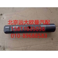 1414029500004 板簧销轴(后下)