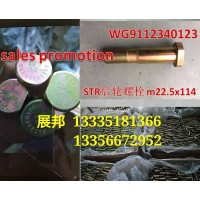 車型  車輪螺栓(35CrMo)