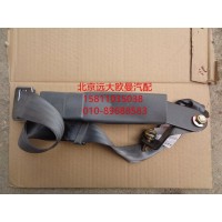 1B24982200005安全带乘客、中间锁扣总成（通用）