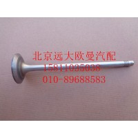 612630050001進(jìn)氣門