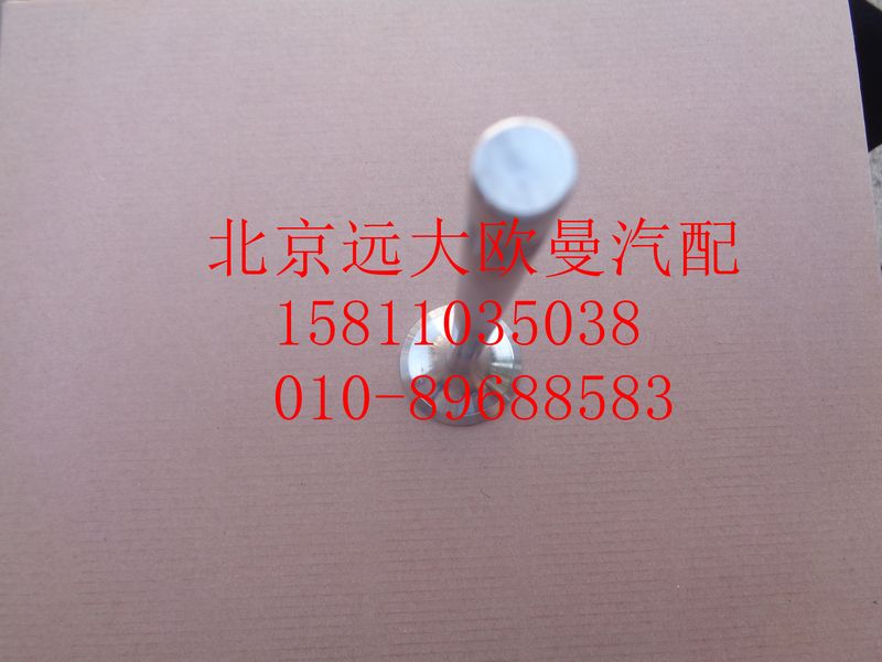 612630050002,排气门,北京远大欧曼汽车配件有限公司