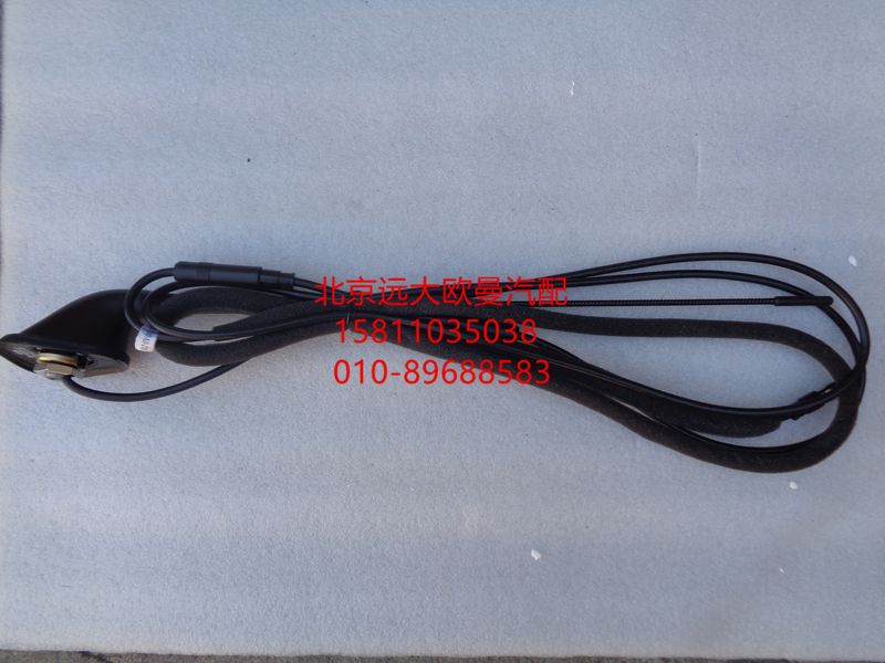 H4791030101A0,顶置天线总成,北京远大欧曼汽车配件有限公司