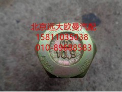 H029200000008,销轴组合螺栓,北京远大欧曼汽车配件有限公司