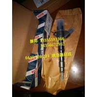 潍柴国四共轨 喷油器总成