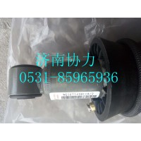 WG1671430119  前悬减振器总成(H18)