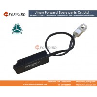 WG1630820313  Temperature sensor/indoor