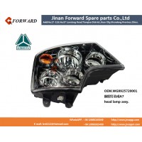 WG9925720001  Model left head lamp assy.