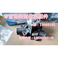 612600061603濰柴水泵總成徐工柳工臨工龍工廈工山推