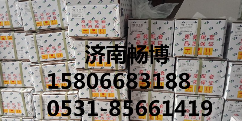 小松PC200-1发电机600-821-6130  济南畅博/600-821-6130