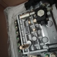 VG1246080097 高压油泵