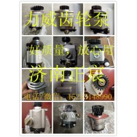 QC13/10-WX 长沙福田卡车 助力泵 齿轮泵