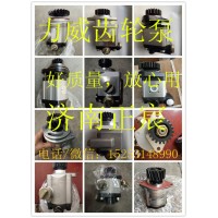 QC13/19-226BR 潍柴道依茨226B助力泵 齿轮泵