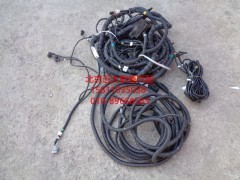 H0362045101A0,车架线束,北京远大欧曼汽车配件有限公司