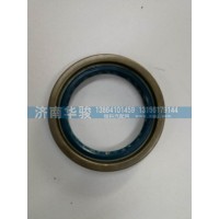 2503013AF00-A 貫通軸油封總成