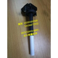 曼天然气MT13 曼13L发动机  点火线圈总成