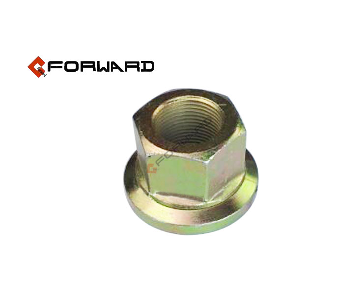 DZ95189611300,Wheel Nut,济南向前汽车配件有限公司