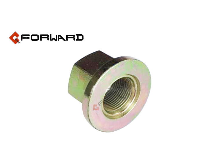 DZ95189611300,Wheel Nut,济南向前汽车配件有限公司