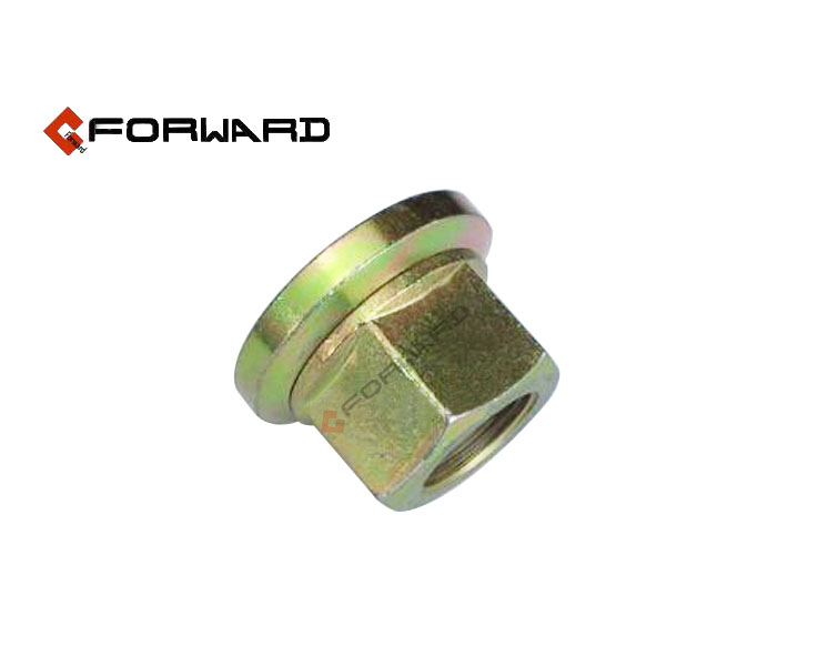 DZ95189611300,Wheel Nut,济南向前汽车配件有限公司