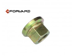 DZ95189611300,Wheel Nut,济南向前汽车配件有限公司