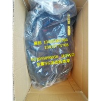 豪沃 左置NG发动机线束