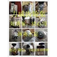 3407020-155-DY10 锡柴4110 助力泵 齿轮泵