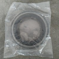 角齒油封  WG9231320001