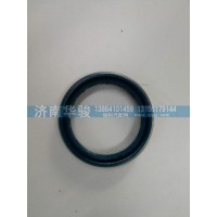 2503013AF00-A 貫通軸油封總成