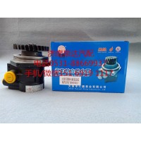 陜汽重卡液壓轉(zhuǎn)向油泵、助力泵DZ97189470213