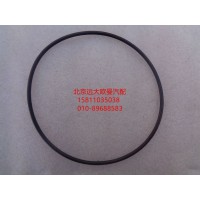 NM01253.55 O型圈