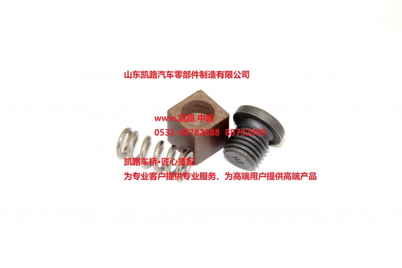 山东凯路重配优势供应红岩H8B桥偏心环方形活塞42117674